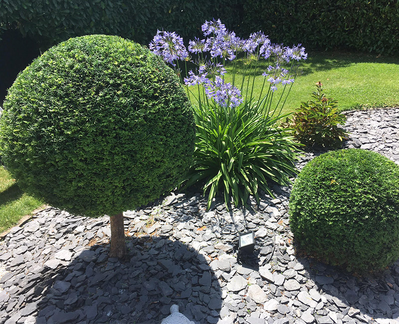 AURELIEN BULTEAU PAYSAGISTE CHALLANS Img11 98