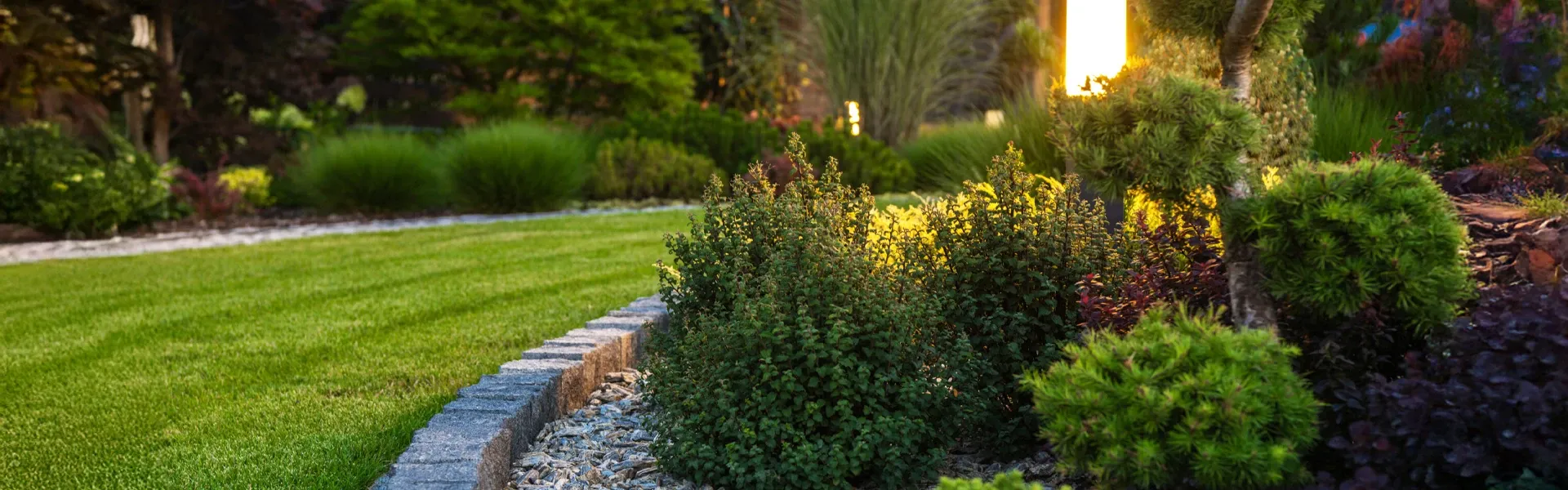 Création paysagère à Commequiers