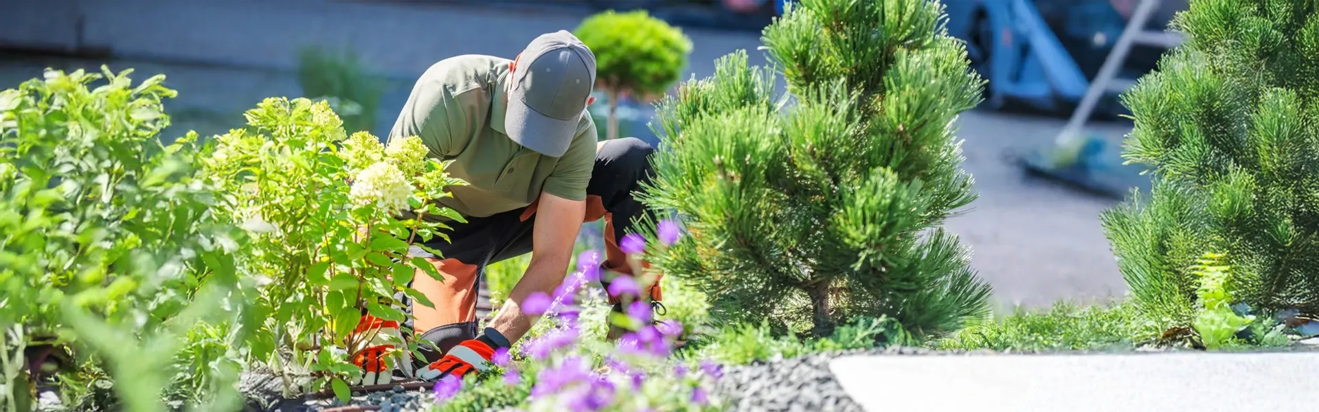 Paysagiste à Challans